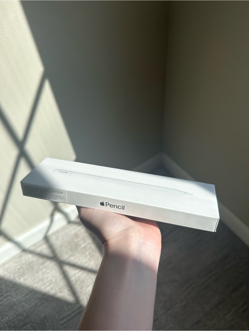 Apple Pencil (USB-C)